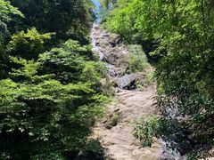 -东天目山风景区