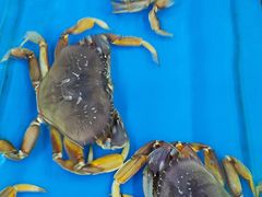 -明润海鲜(南边海店)