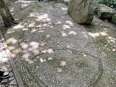 -上海佘山国家森林公园天马山园