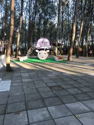 -汉石桥湿地童趣乐园