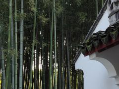 -上海醉白池公园