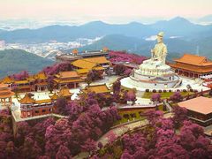 -东莞观音山旅游风景区