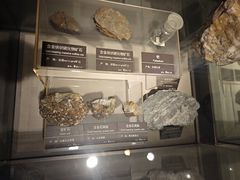 -甘肃地质博物馆