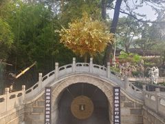 -红螺寺