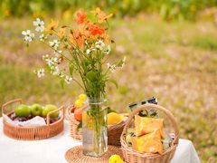 -光明小镇欢乐田园