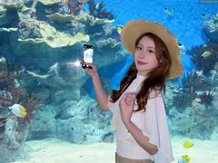 -福州罗源湾海洋世界旅游区
