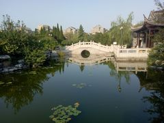 -梅园