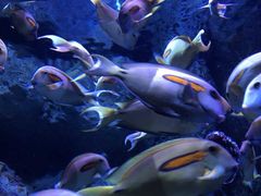 -成都浩海立方海洋公园