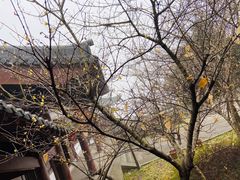-达蓬山旅游度假区