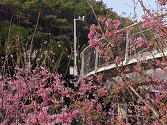 -狐尾山公园