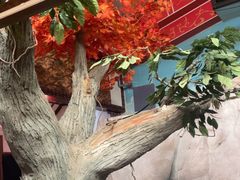 -和源祥·日照菜扛把子(万平口一店)