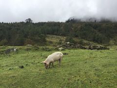 -硗碛藏寨·神木垒景区