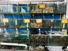 水产区-蚝专家(北滘店)