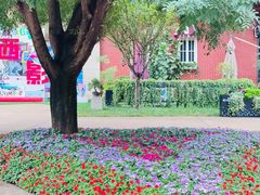 -西安电影制片厂