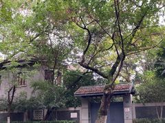 -极客修手机维修·电脑维修·家电维修清洗(珠江路店)