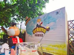 -柴犬高等学院·狗咖·柴犬售卖·宠物训练