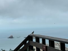 -三姐妹·海鲜大排档