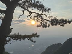 -庐山风景区花径公园