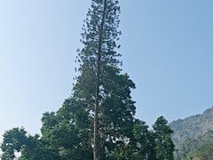 -友谊关景区