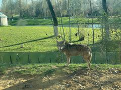 -北京野生动物园