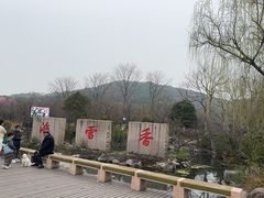 -香雪海