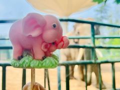 -秦皇岛野生动物园