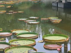 -迎泽公园