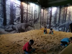 -恐龙探索乐园(磁器口店)