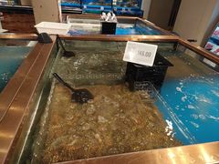 -七鲜超市(瑞虹天地太阳宫店)
