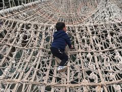 -呀路古热带植物园