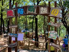 -沂蒙山旅游区云蒙景区(蒙山国家森林公园)