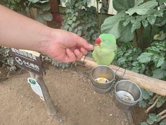 -南宫五洲植物乐园