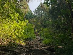 -佛慧山