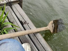 -天下先生态园农庄CS团建露营地(海鸥岛店)