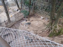 -杭州长乔极地海洋公园