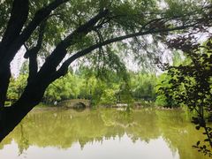 -瀛洲公园