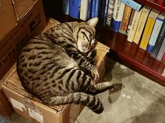 -正阳书局(西四南大街店)
