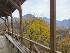 -大岭沟猕猴桃谷风景区