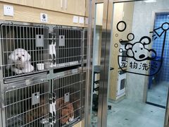 -爱佳宠物中心医院24H·CT·骨外科·猫专科(瑶海万达店)