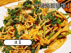 炝汁银条-洛阳面馆(红专路店)