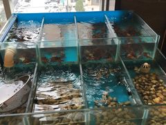-大雁塔假日酒店·绿茵阁西餐厅