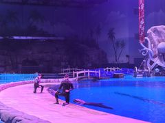 -华夏文旅海洋公园