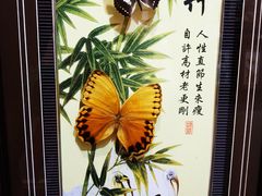 -蝴蝶泉公园