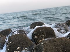 -东堤公园