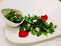 -老船夫婚宴婚庆会馆(延吉路店)