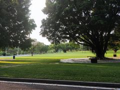 -东莞植物园