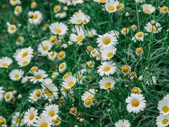 -江渔儿酸菜鱼(东山店)