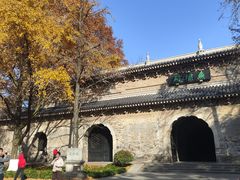 -灵谷景区