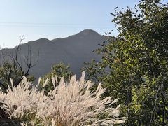 -瓦厂酒店