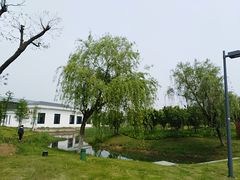 -尚贤河湿地